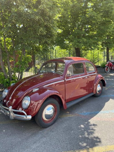 Volkswagen Maggiolino 1200 L (Messico) (6)