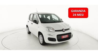 Fiat Panda 1.2 EasyPower Easy usata