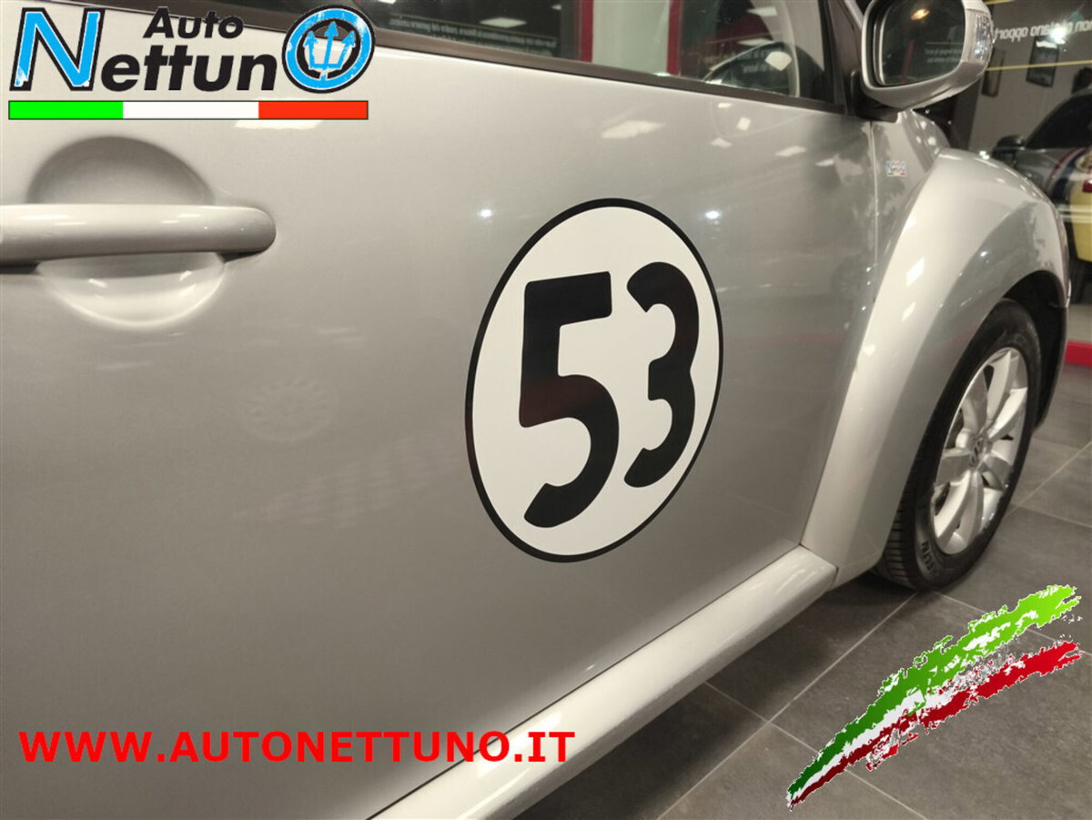 Volkswagen New Beetle 1.6 (20)