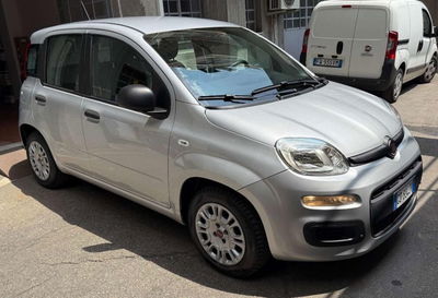 Fiat Panda 1.2 Easy usata