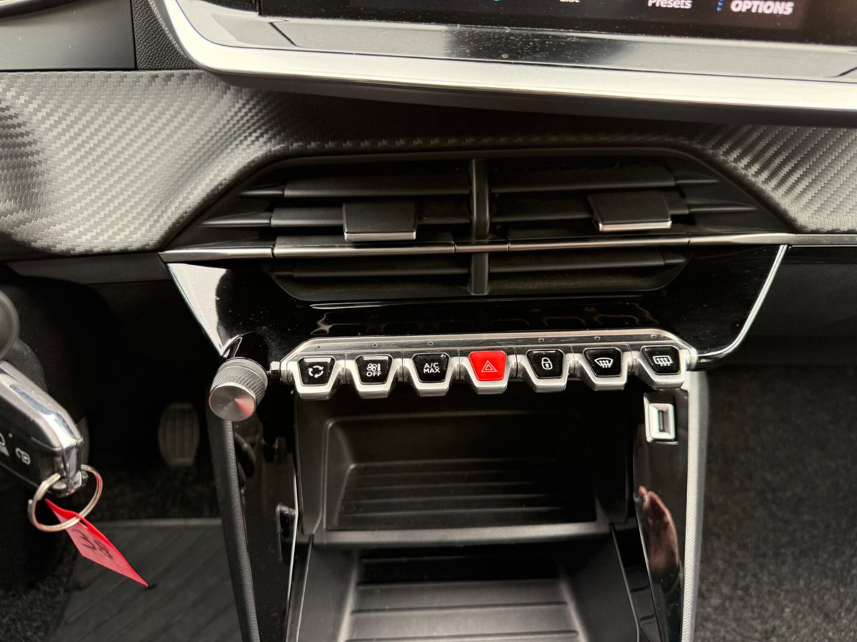 Peugeot 208 BlueHDi 100 Stop&Start 5 porte Active Pack (13)