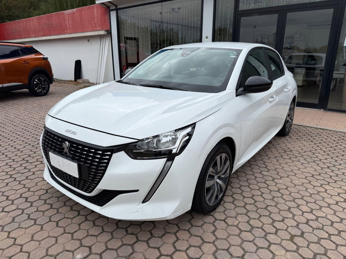 Peugeot 208 BlueHDi 100 Stop&Start 5 porte Active Pack (5)