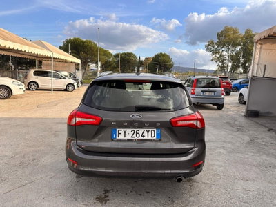 Ford Focus Station Wagon 1.5 EcoBlue 120 CV automatico SW Business (4)
