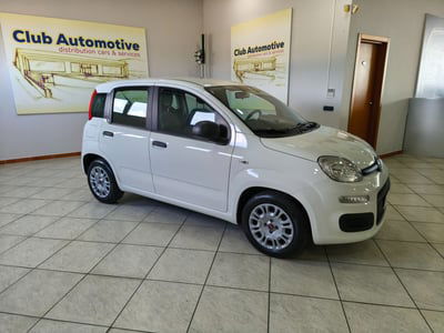 Fiat Panda 1.2 EasyPower Easy usata