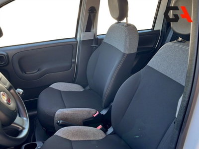 Fiat Panda Cross Cross 1.0 FireFly S&S Hybrid (19)