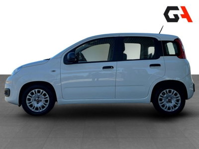 Fiat Panda Cross Cross 1.0 FireFly S&S Hybrid (8)