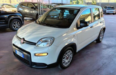 Fiat Panda Cross Cross 1.0 FireFly S&S Hybrid usata