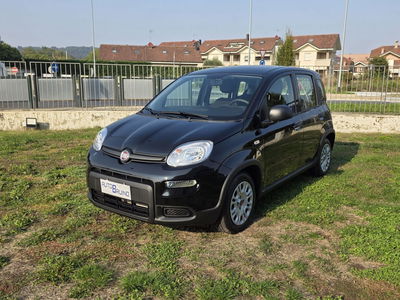Fiat Panda 1.0 FireFly S&S Hybrid City Cross usata