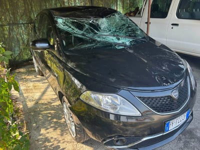 Lancia Ypsilon 1.2 69 CV 5 porte Gold usata