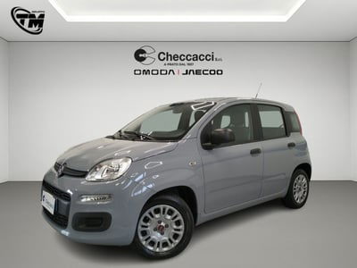 Fiat Panda Cross Cross 1.0 FireFly S&S Hybrid usata
