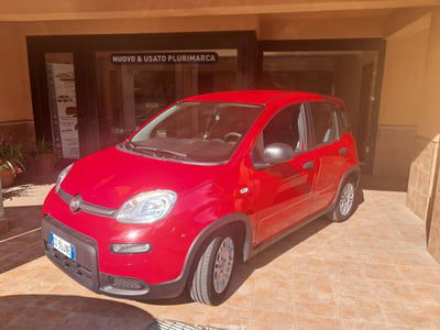 Fiat Panda Cross Cross 1.0 FireFly S&S Hybrid usata