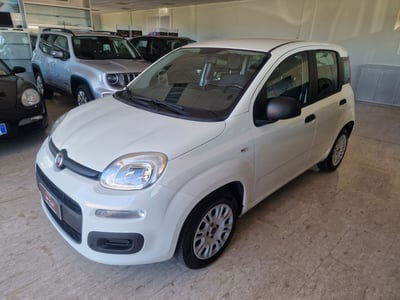 Fiat Panda 1.2 Easy usata