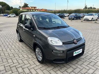 Fiat Panda 1.0 firefly hybrid s&s 70cv 5p.ti usata