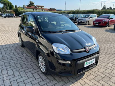 Fiat Panda 1.0 firefly hybrid s&s 70cv 5p.ti usata