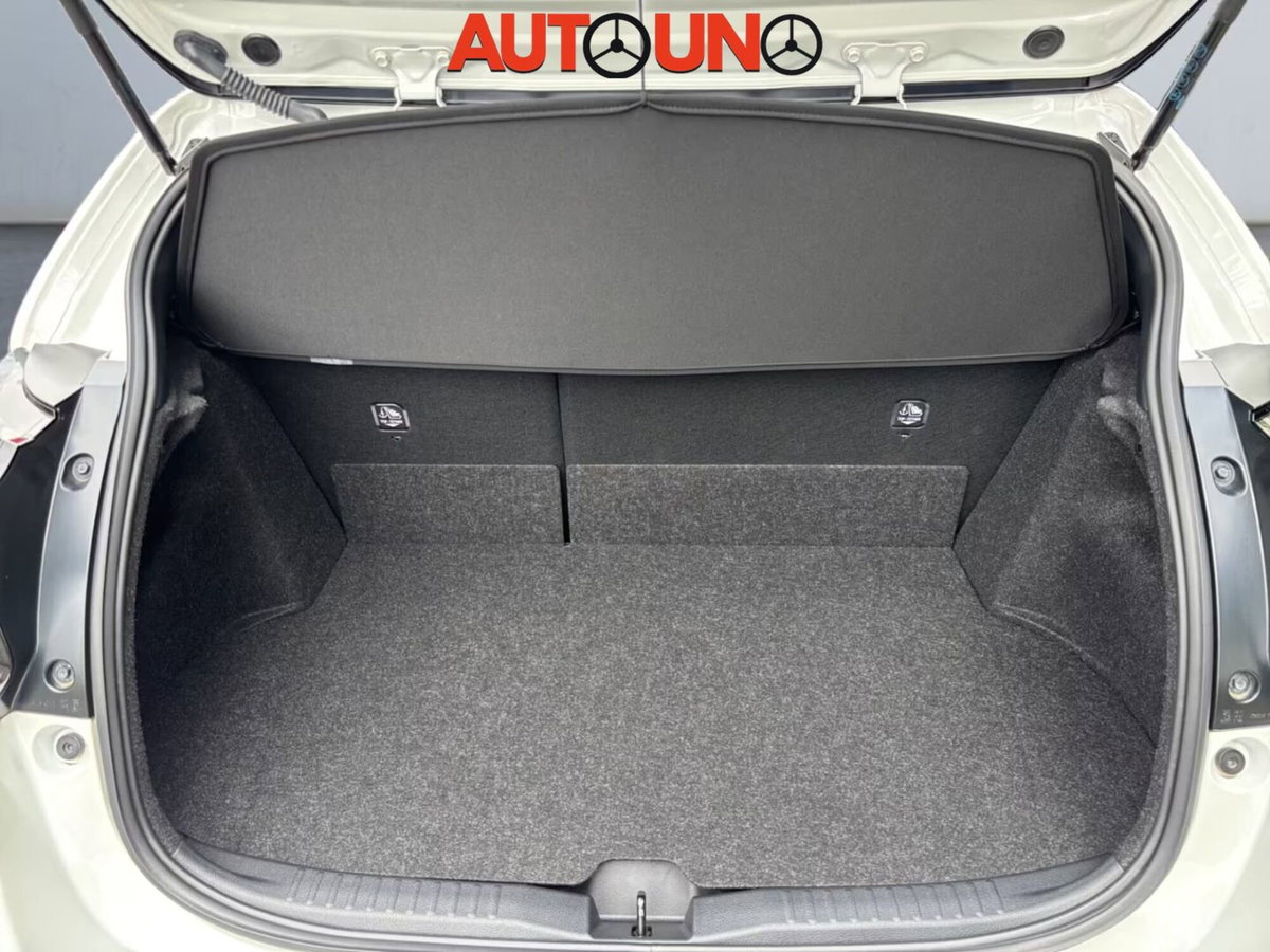 Toyota GR Yaris 1.6 Turbo 3 porte GR Yaris Circuit (13)