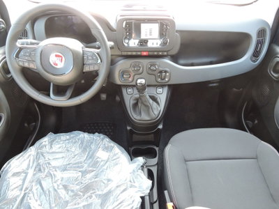 Fiat Panda Cross Cross 1.0 FireFly S&S Hybrid (10)