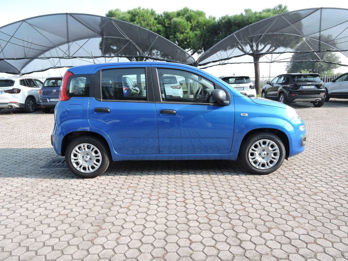 Fiat Panda Cross Cross 1.0 FireFly S&S Hybrid (4)