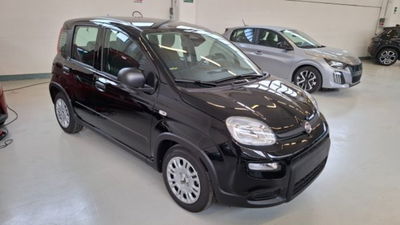 Fiat Panda 1.0 firefly hybrid s&s 70cv 5p.ti nuova