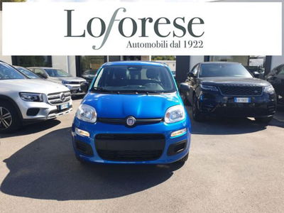 Fiat Panda 1.0 firefly hybrid s&s 70cv 5p.ti nuova