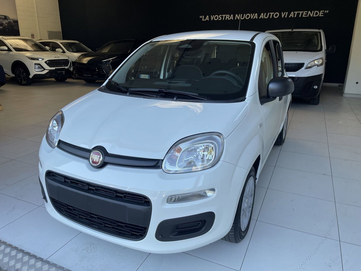 Fiat Panda 1.0 firefly hybrid Icon s&s 70cv (3)