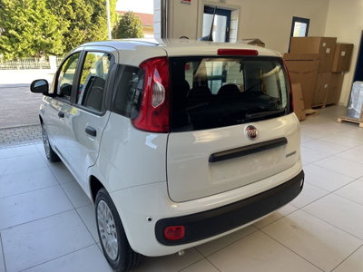 Fiat Panda 1.0 firefly hybrid Icon s&s 70cv (4)