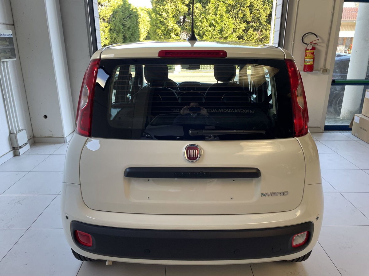 Fiat Panda 1.0 firefly hybrid Icon s&s 70cv (5)