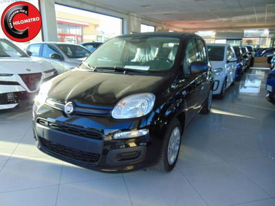 Fiat Panda 1.0 firefly hybrid s&s 70cv 5p.ti nuova