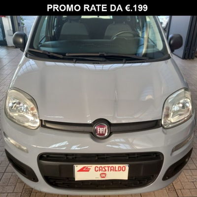 Fiat Panda 1.2 Easy usata