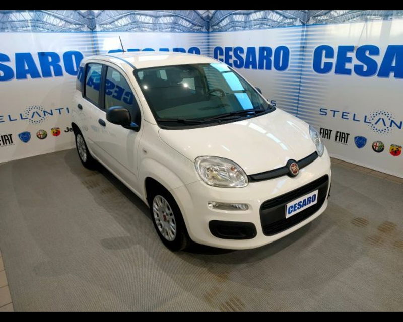 Fiat Panda 1.0 firefly hybrid s&s 70cv 5p.ti