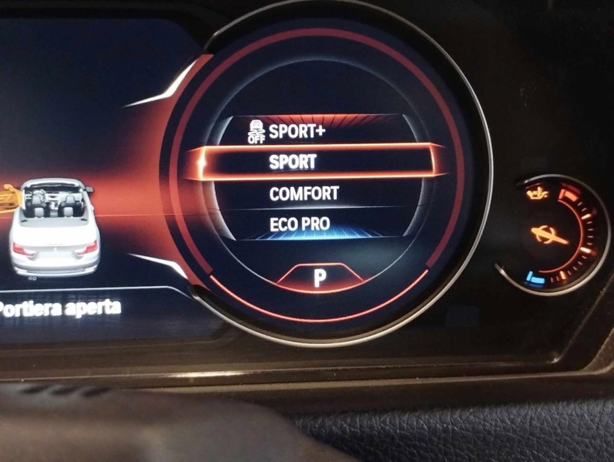 BMW Serie 4 Cabrio 420d  Msport (12)