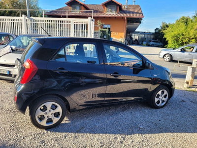 Kia Picanto 1.0 12V 5 porte City (8)