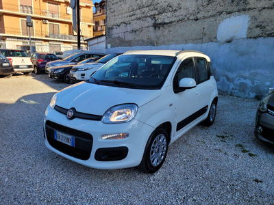 Fiat Panda 1.2 EasyPower Easy usata