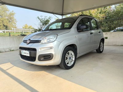 Fiat Panda 0.9 TwinAir Turbo S&S 4x4 usata