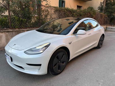 Tesla Model 3 Model 3 Standard RWD Plus usata