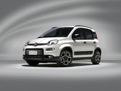 Fiat Panda 1.0 firefly hybrid s&s 70cv 5p.ti usata