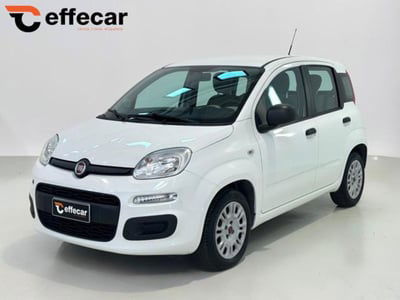 Fiat Panda 1.2 Easy usata