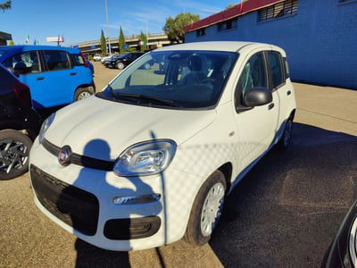 Fiat Panda Cross Cross 1.0 FireFly S&S Hybrid nuova