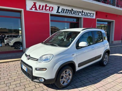 Fiat Panda 1.3 MJT S&S 4x4 usata