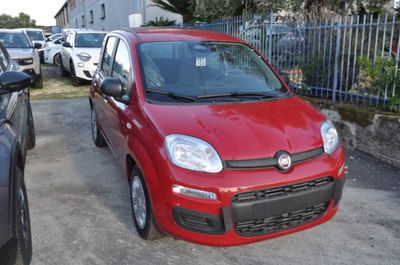 Fiat Panda 1.0 firefly hybrid s&s 70cv nuova