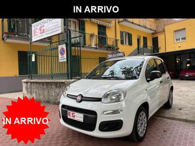 Fiat Panda 1.2 Easy usata
