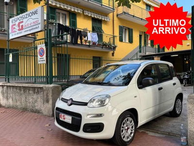 Fiat Panda 1.2 Easy Van 4 posti usata
