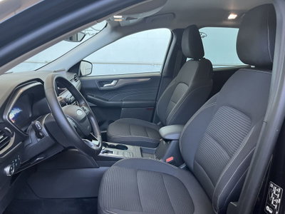 Ford Kuga 1.5 EcoBlue 120 CV 2WD Titanium (7)