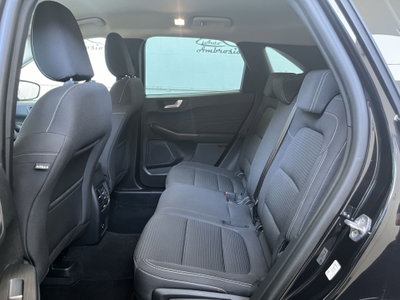 Ford Kuga 1.5 EcoBlue 120 CV 2WD Titanium (8)