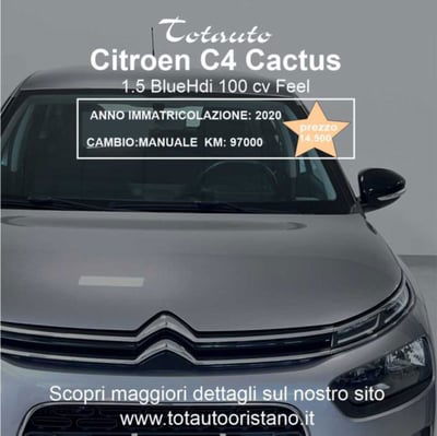 Citroen C4 Cactus BlueHDi 100 S&S Feel Pack usata