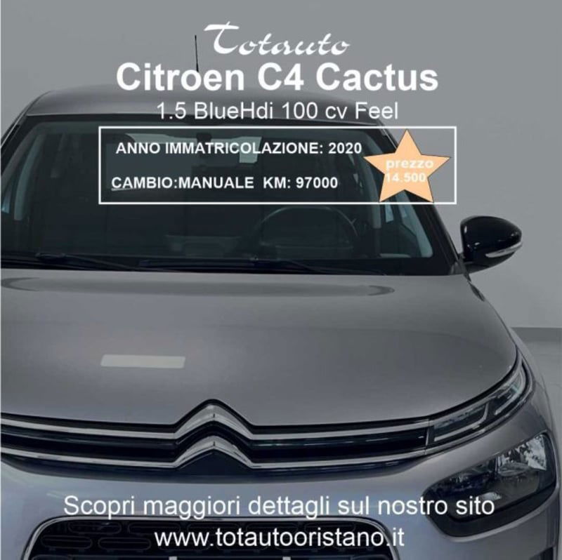 Citroen C4 Cactus BlueHDi 100 S&S Feel Pack