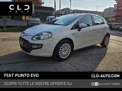 Fiat Punto Evo 1.3 Mjt 75 CV 5 porte Active usata