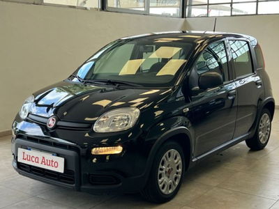 Fiat Panda 1.0 firefly hybrid s&s 70cv 5p.ti usata