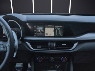 Alfa Romeo Stelvio Stelvio 2.2 Turbodiesel 160 CV AT8 RWD Sprint (19)
