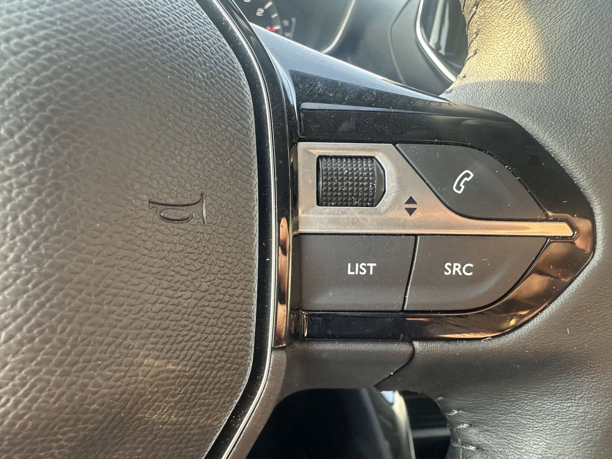 Peugeot 208 PureTech 100 Stop&Start 5 porte Active (17)