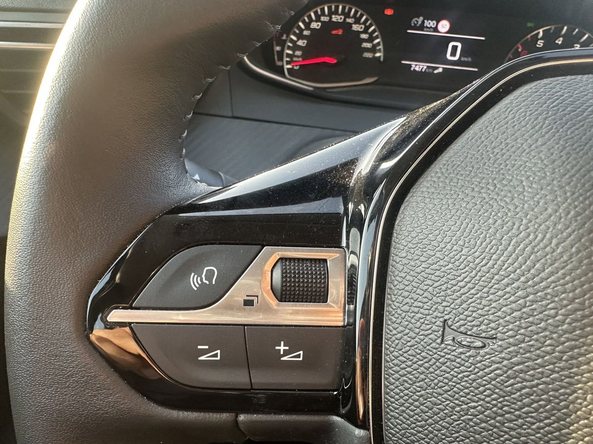 Peugeot 208 PureTech 100 Stop&Start 5 porte Active (18)